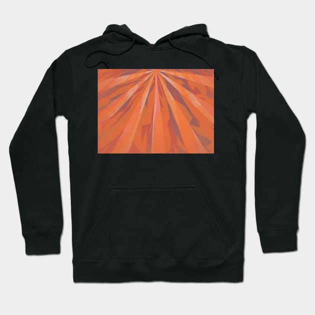 Orange Energy Hoodie by Lollik